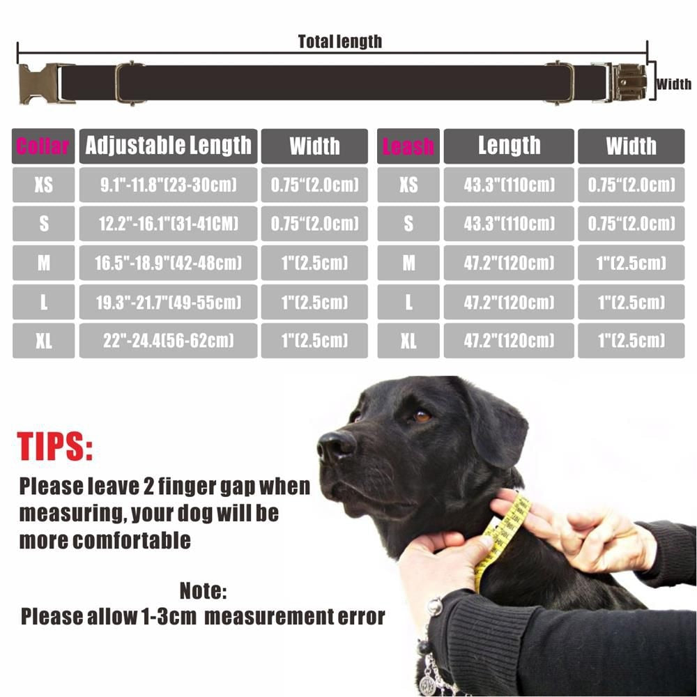 Personalized Dog Collar Customized Pet Collars Free Engraving ID Nameplate Tag Pet Accessory Multi Velvet Puppy Collar Leash Set