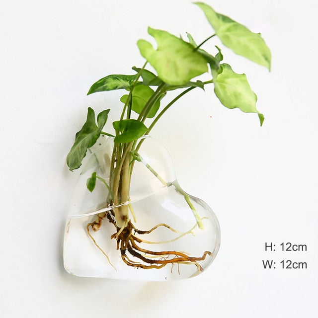 Wall Hanging Glass Vase - ESSENTIALS365