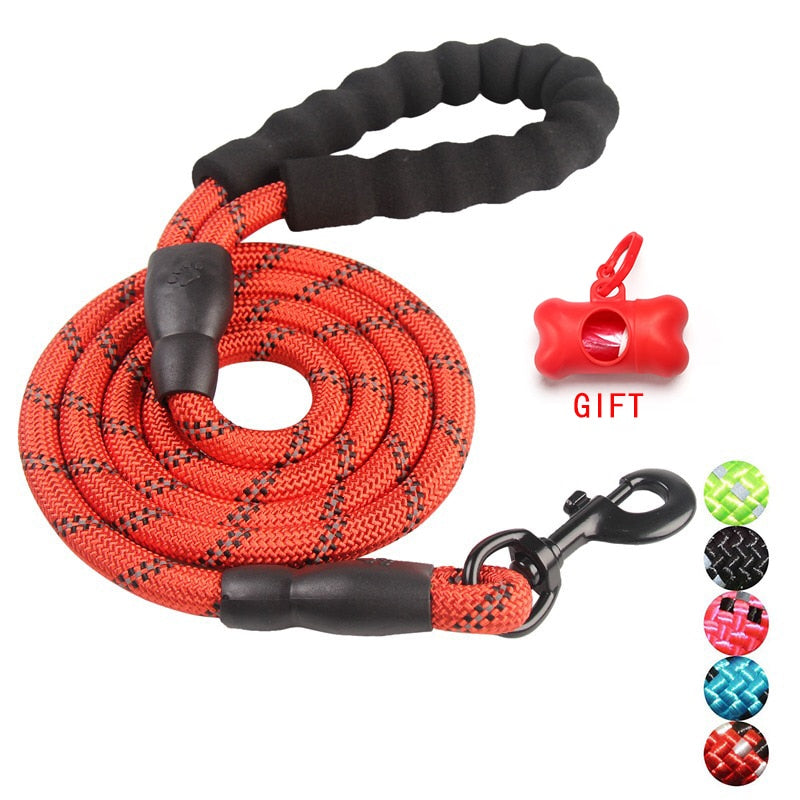 Durable Nylon Dog harness Color 1.5M Pet Dog Leash Walking Training Leash Cats Dogs Leashes Strap Dog Belt Rope - ESSENTIALS365