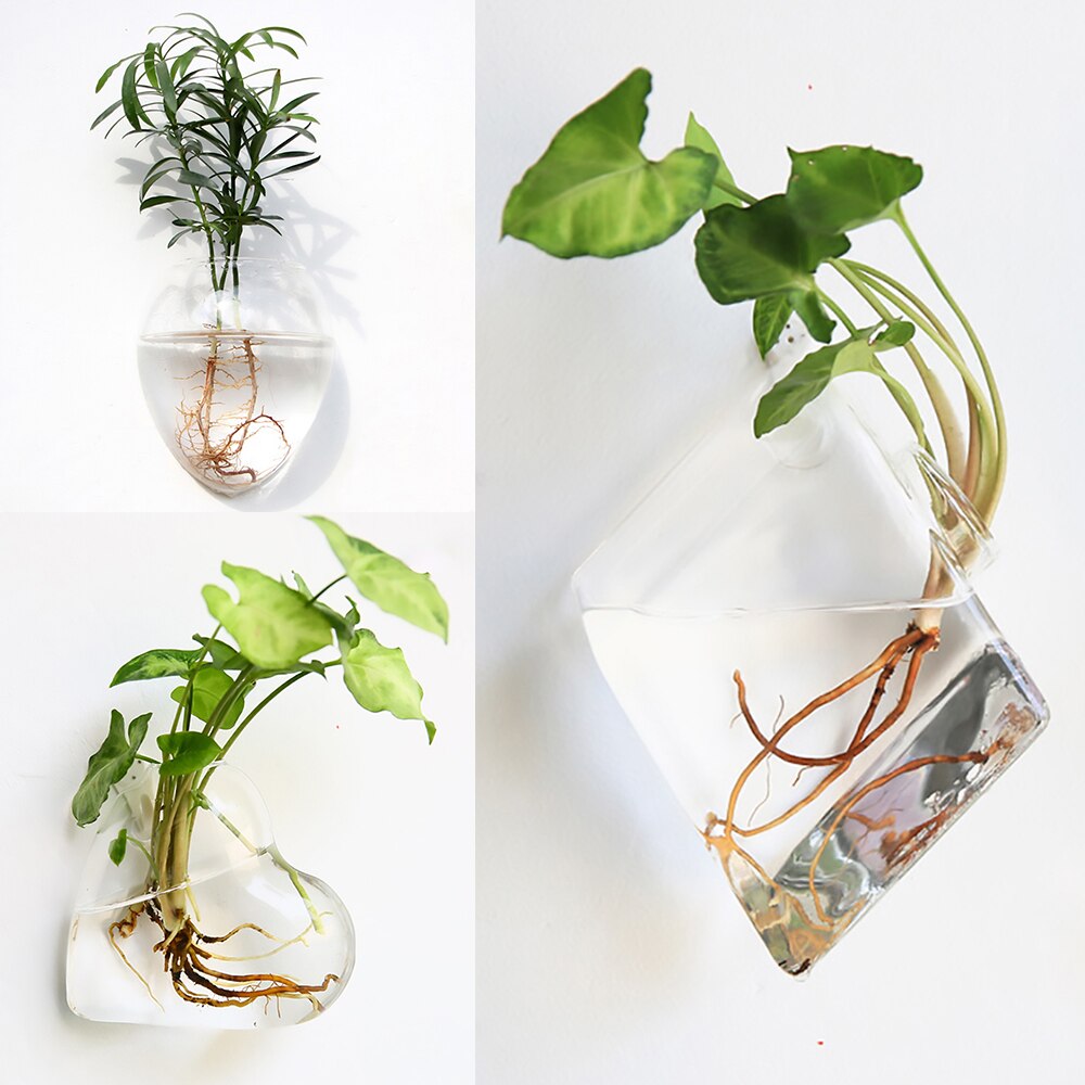 Wall Hanging Glass Vase - ESSENTIALS365