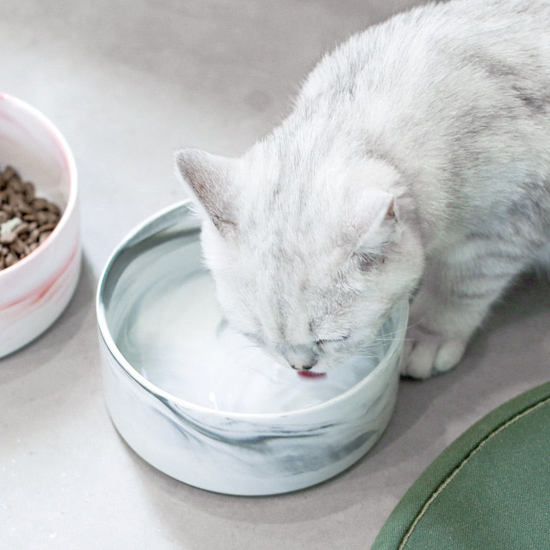 Marbling Ceramic Double Bowl For Pet - ESSENTIALS365