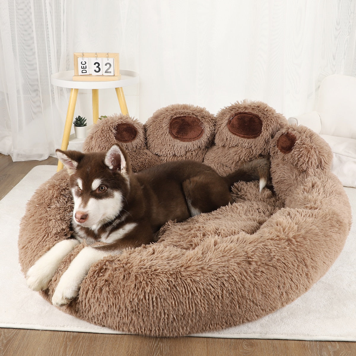 Dog Sofa Beds for Small Dogs Warm Pet Accessories Bed Accessorys Large Mat Pets Kennel Washable Plush Medium Basket Puppy Cats