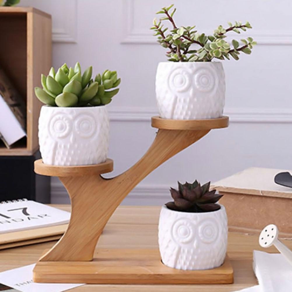 Succulent Pots & Bamboo Shelf - ESSENTIALS365