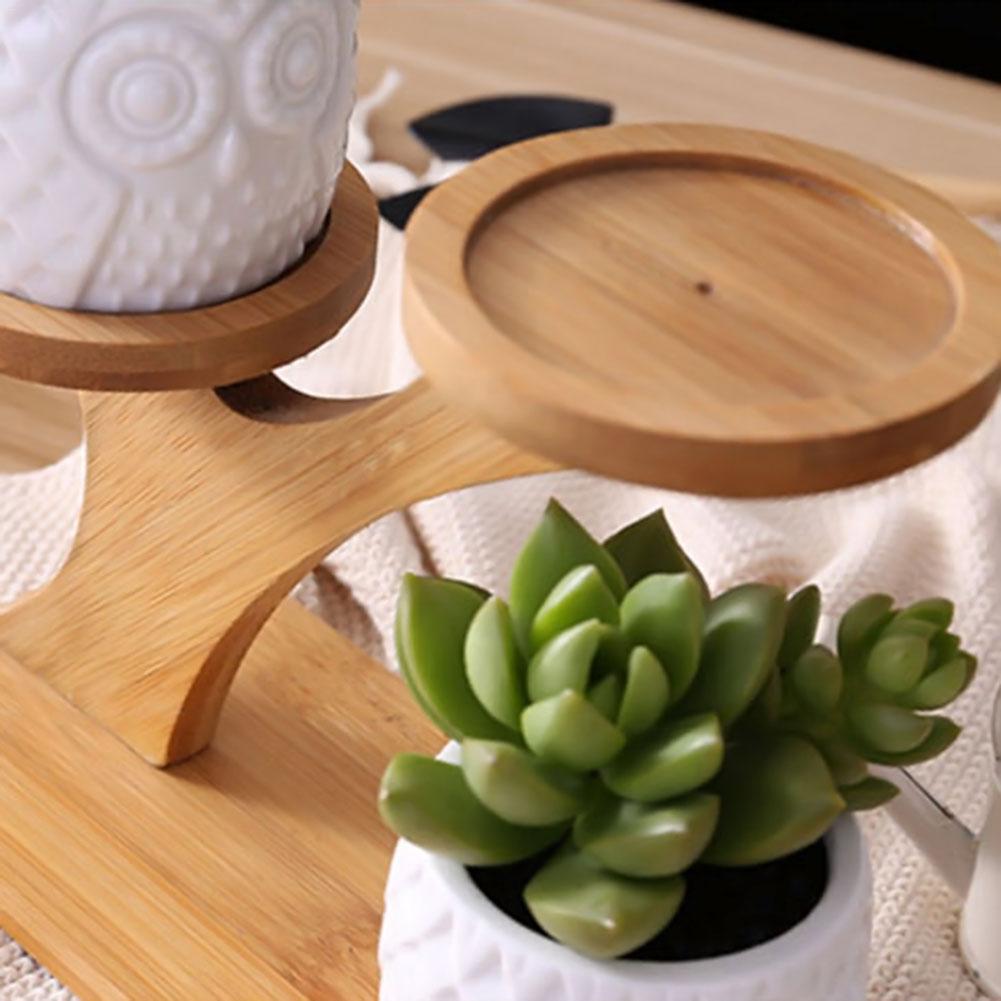 Succulent Pots & Bamboo Shelf - ESSENTIALS365